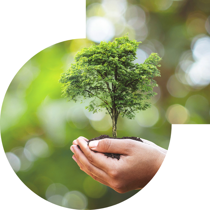 关怀人类、文化、环境与社会